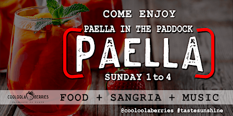 Paella in the Paddock