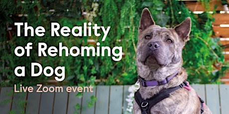 The Reality of Rehoming a Dog Live Zoom Event tickets