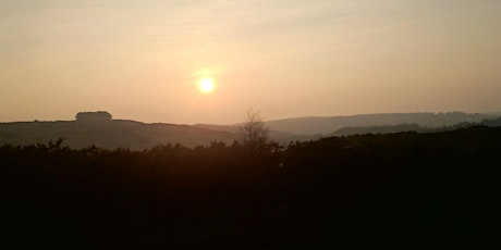 Ashdown Forest at Twilight