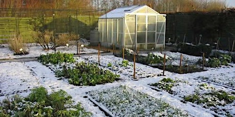 Winter Sowing for Native Plants primary image