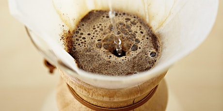 SCA Coffee Diploma - Brewing Foundation primary image