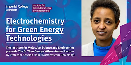 IMSE 2022 Annual Lecture: Electrochemistry for Green Energy Technologies tickets