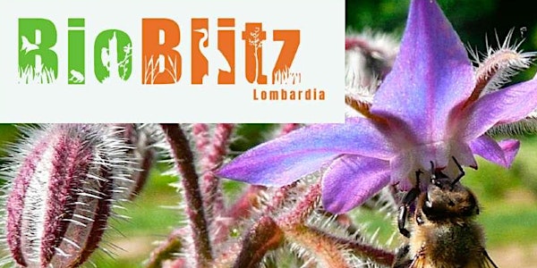 BioBlitz 2022 - Laboratori Parco Nord Milano