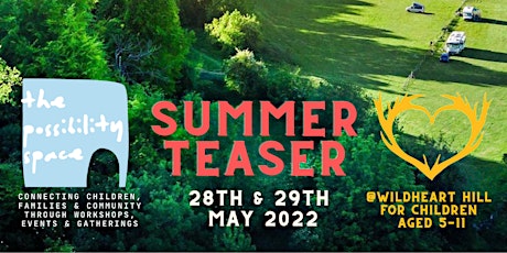 The Possibility Festival - summer teaser tickets