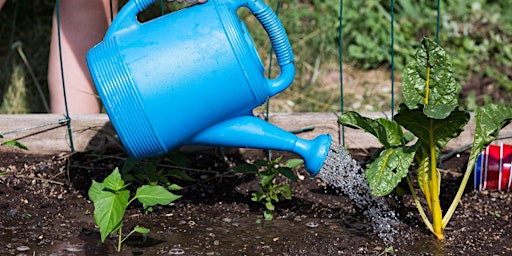 Growing Organic: Water You Waiting For?