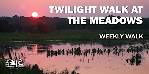 Twilight Walk at the Meadows