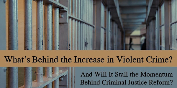 What's Behind the Increase in Violent Crime?