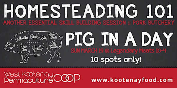 PIG IN A DAY - Homesteading 101