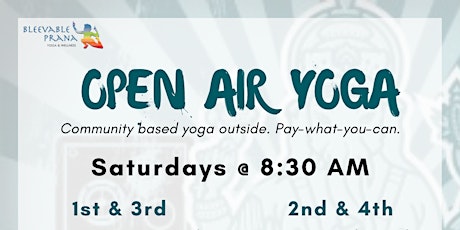 Open Air Yoga: King Lincoln Park