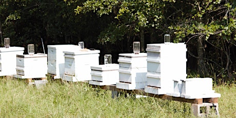 Hive & Honey Workshop-Promised Land Homestead tickets
