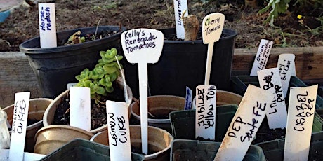 Incredible Edible Community Seed Planting Party primary image