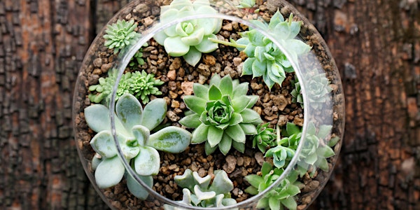 Living Art: Terrarium Workshop