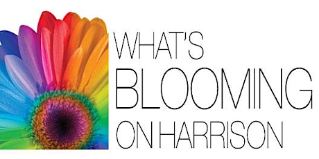 What's Blooming on Harrison Street Fair and Festival primary image