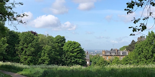 Paint Hampstead Landscape, NW3, Heath overlooking London