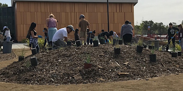 Native Plant Garden Maintenance: 'Learning and Earning' Volunteer Event