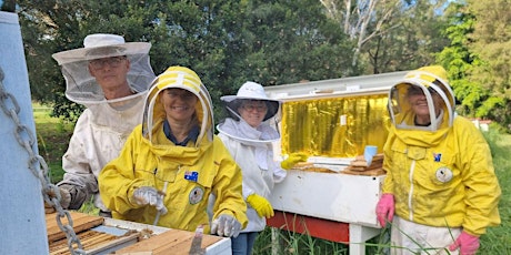 Beekeeping 4 New-Bees, Honey Harvesting, Long Bee Hives , Bee Hive Splits tickets