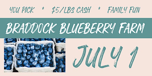 U-Pick Blueberries (Reservation Required)