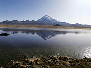 Sajama: The highest national park in the world...! tickets