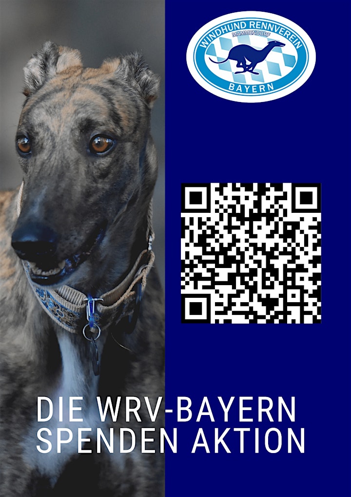 WRV-Bayern Training Windhund-Rennsport: Bild 