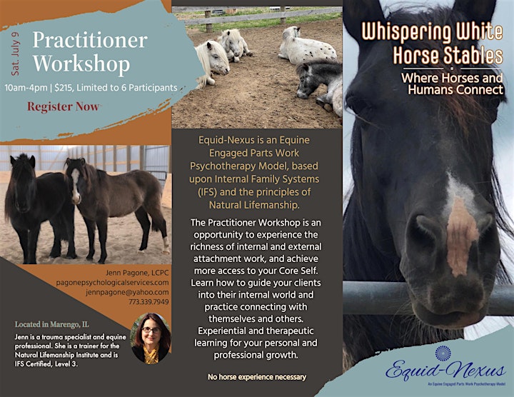 Equid-Nexus Practitioner Workshop: IFS Equine Assisted Psychotherapy image