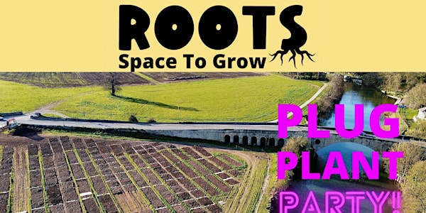 Roots Allotment Plug Plant Party