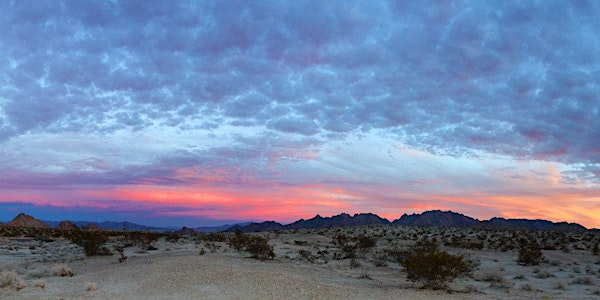 Winter Light: Photographing Desert Preserves Fall 2022