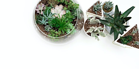 Make Your Own Mini World Terrarium Workshop for Adults tickets