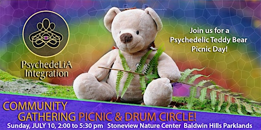 Teddy Bear Picnic Day and Drum Circle!