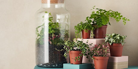 Create your own Plant Terrarium with Green & Wild tickets