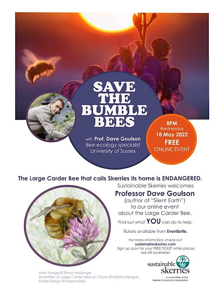 Save the Bumblebees in Skerries image