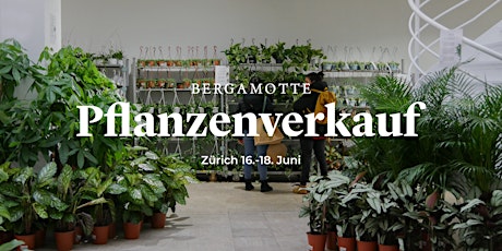 Bergamotte Pflanzenverkauf // Zürich Tickets