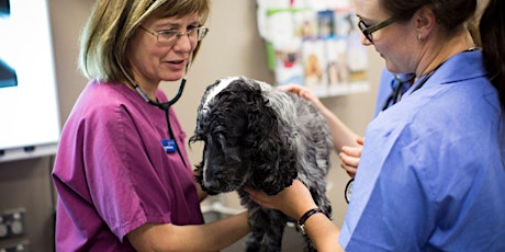 Animal and Vet Sciences Information Session tickets