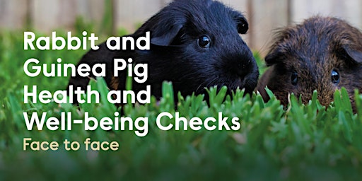FREE Rabbit and Guinea Pig Health & Wellbeing Checks - CAMBOURNE primary image