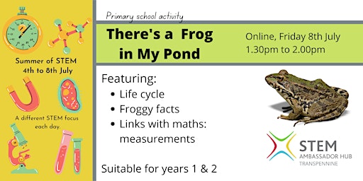 There's a frog in my pond