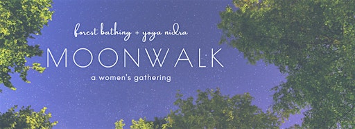 Collection image for Moonwalks: Night Forest Bathing & Yoga Nidra