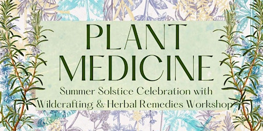 Summer Solstice Celebration with Wild Plant Walk & Herbal Remedies Workshop