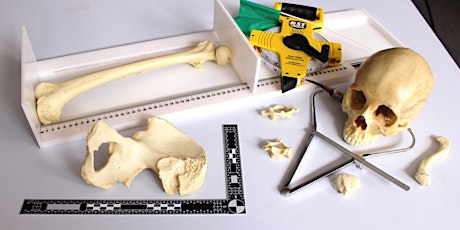 Workshop: Skeletons of the Past – The History of Human Bone Archaeology tickets