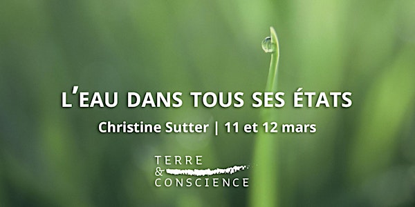 Christine Sutter: L'eau dans tous ses états