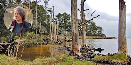 Saltwater Intrusion, Sea Level Rise, and the Spread of Ghost Forests bilhetes