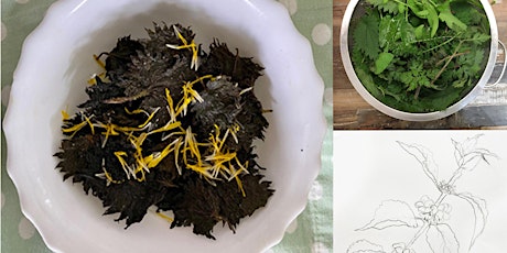 Forage, Eat and Draw  - One Day Workshop tickets