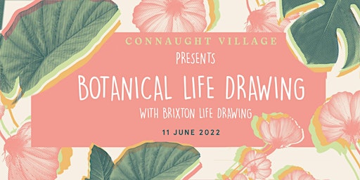 Botanical Life Drawing at Connaught Garden Festival