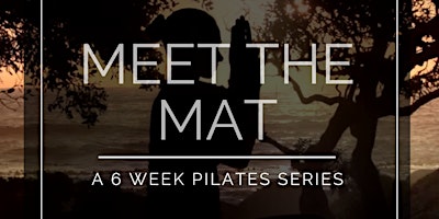 Meet the Mat: A Recurring Pilates Class!