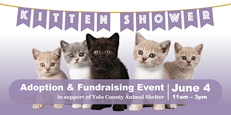 Kitten Shower: Adoption + Fundraising Event tickets
