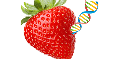 Strawberry DNA Extraction - Hereditary Diseases! tickets