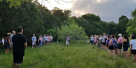 Forest Bathing Music Walk SOUTH with Award winning Austin Violinist tickets