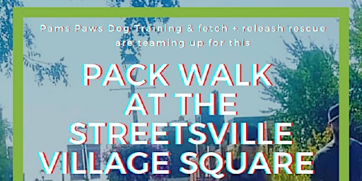 Pack Walk The Streetsville Village Square