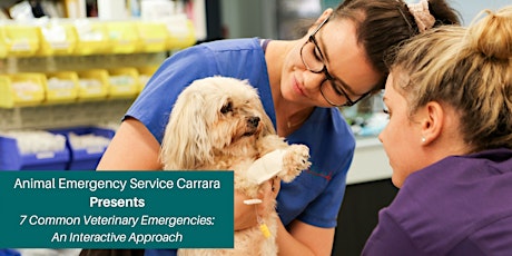 SEMINAR: 7 Common Veterinary Emergencies: An Interactive Approach (Carrara) tickets