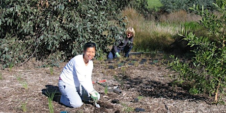 Community Planting Day at Fotheringham Reserve tickets