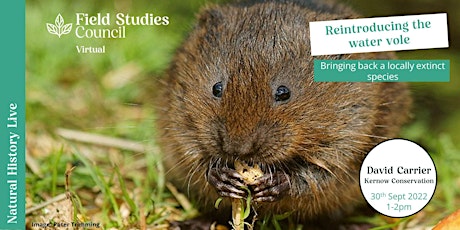 Reintroducing the Water Vole – bringing back a locally extinct species