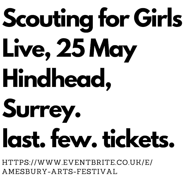 Amesbury Arts Festival Presents Scouting For Girls plus support. image